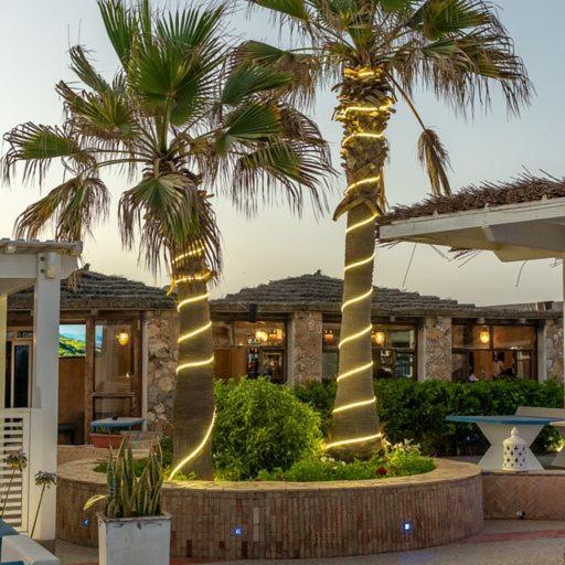 Mimid Dunes Beach Hotell Mirleft Eksteriør bilde